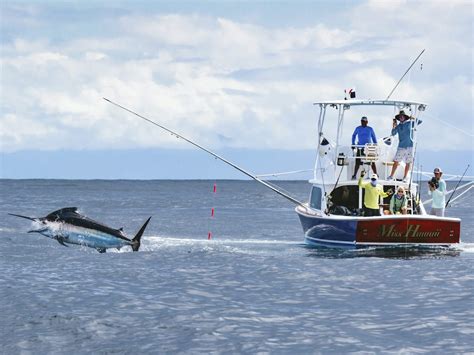 tropic star lodge panama fishing.